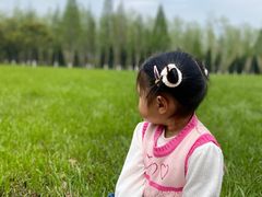 -合肥滨湖国家森林公园