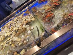 -诱货海鲜自助火锅(爱琴海购物公园东百店)