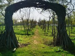 -上海海湾国家森林公园