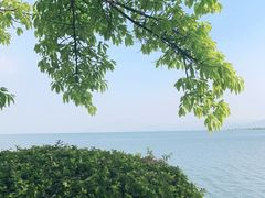 -大理洱海