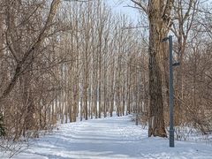 -长春市南湖公园