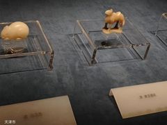 -天津博物馆