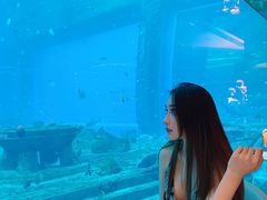 -亚特兰蒂斯•OSSIANO奥西亚诺海底餐厅
