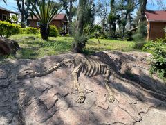 -漳州滨海火山岛自然生态风景区