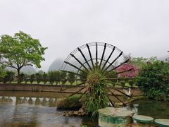 -靖西鹅泉风景区