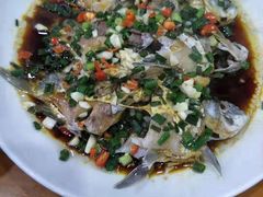 -全乐鱼馆·淳牌有机鱼直营店