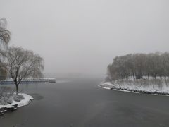 -大兴滨河森林公园