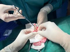 -创凡宠物医院·骨专科  猫科中心(西乡分院)