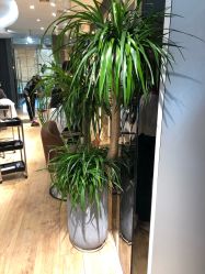 -意廊 Hair Salon