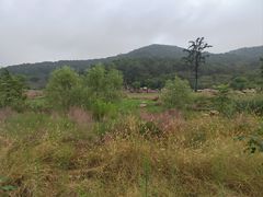 -南京市无想山景区