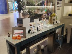 -Dragonfly悠庭·按摩Spa(浦东嘉里城店)