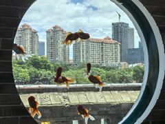 -珠海圆明新园