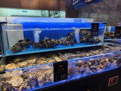 -同庆楼(天鹅酒家店)