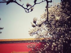 -北京市劳动人民文化宫(太庙)