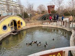 -南宫五洲植物乐园