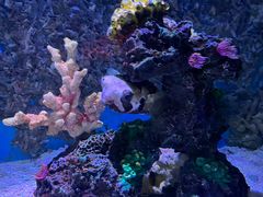 -正佳极地海洋世界