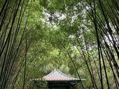 -宝鸡植物园