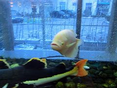 -衡山汇·高级粤菜(霄云路店)