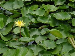 -荔湾湖公园