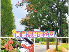 -尚贤河湿地