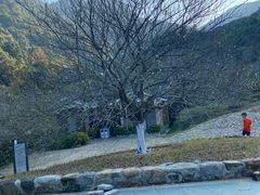 -广州市石门国家森林公园