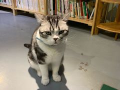 -小时光咖啡馆(开森度假森林店)