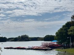 -上海海湾国家森林公园