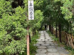 -洛阳白马寺