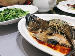 清蒸龙胆鱼-紫阳海鲜楼·传承闽味(长乐路总店)