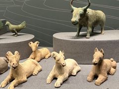 -广西壮族自治区博物馆