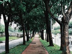-白石龙音乐公园