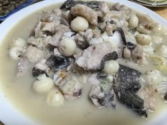 -春涛餐馆(下坝店)