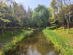 -绍兴镜湖国家城市湿地公园