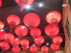 -二胖家铁锅炖大鹅(双井店)