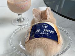 -守诺宠物医院·眼科· 特色牙科·异宠专科(虹口店)