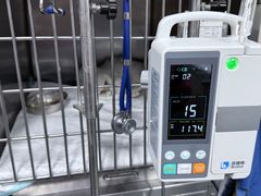 -爱侣宠医·鹦鹉专科·小型哺乳类·异宠专科(灵石路店)