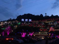 -枇杷园食为鲜火锅(南山店)
