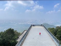 -紫金山山顶公园