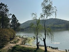 -长广溪湿地公园