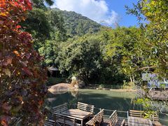 -海南霸王岭国家森林公园