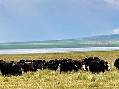 -青海湖国家重点风景名胜区