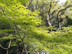 -山外山菜馆(玉泉路店)