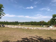 -上海长兴岛郊野公园