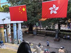 -九龙公园