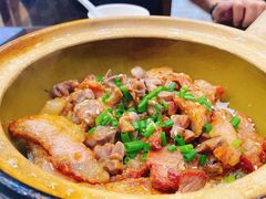 -红星光发煲仔饭(文海店)