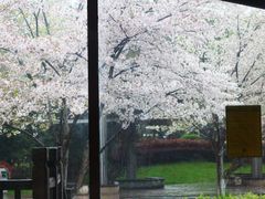 -玉山公园