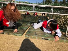 -上海市龙华烈士陵园