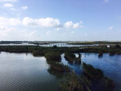 -盐城丹顶鹤湿地生态旅游区