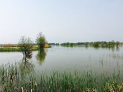 -野鸭湖国家湿地公园