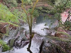 -碧峰峡风景区
